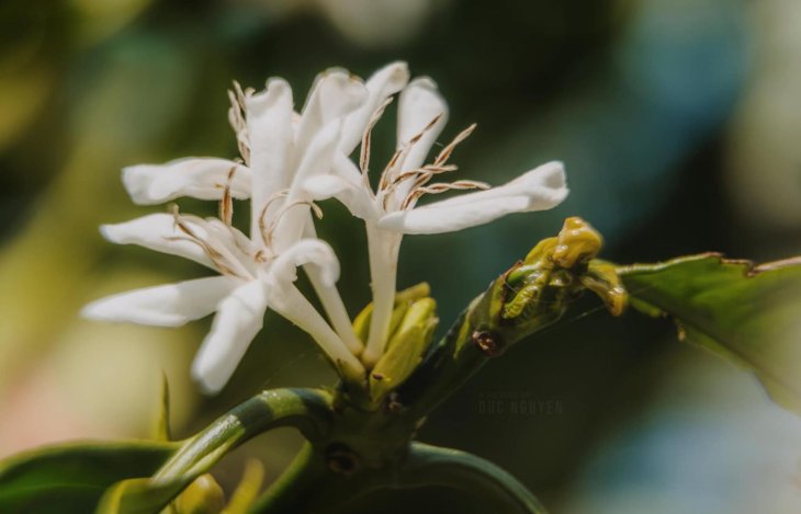 150359942 764731864439907 8999285668984527080 N