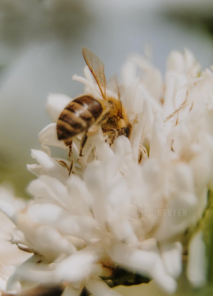 150828295 764731724439921 1901550381157898631 N