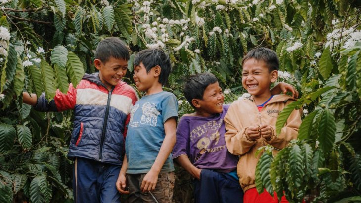 151286097 764732401106520 3786902189920354226 N