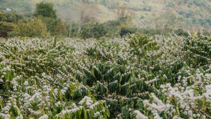 152365582 764732424439851 5025969349396157821 N