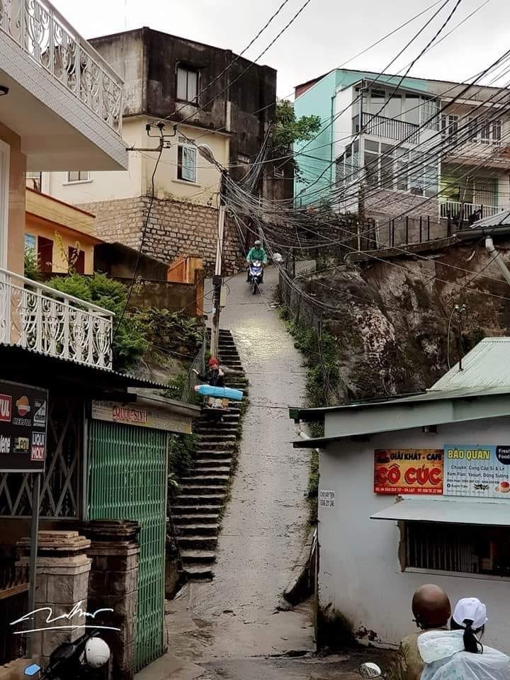 161580248 883747999144491 3665882393529851967 N