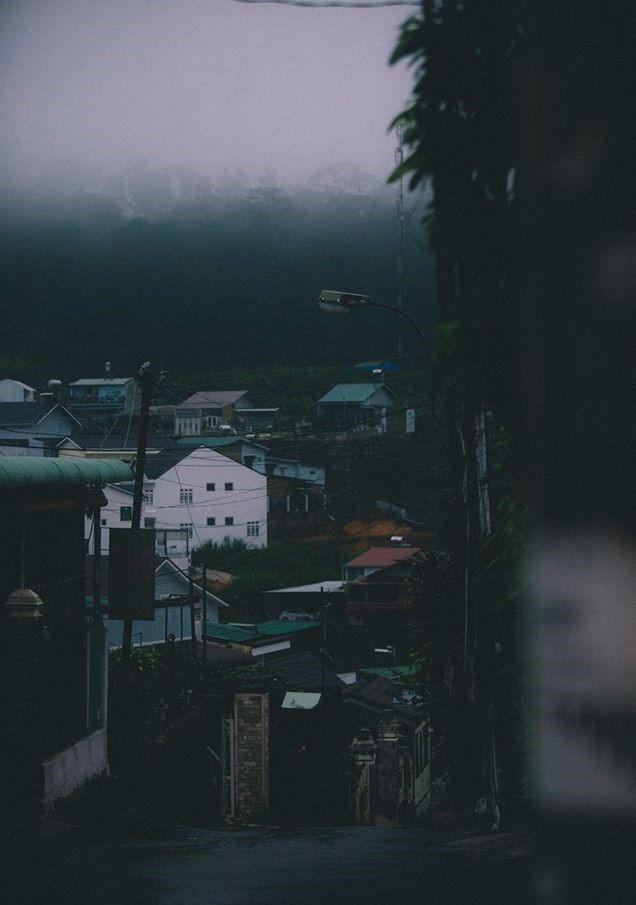 102584951 10214862384187601 3108753451182456832 O