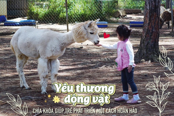 Khu Du Lich Zoodoo