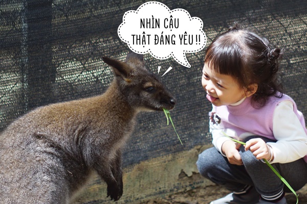 So Thu Zoodoo Da Lat
