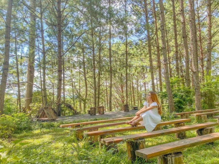 122253766 3317893688323530 4099883880549715893 N