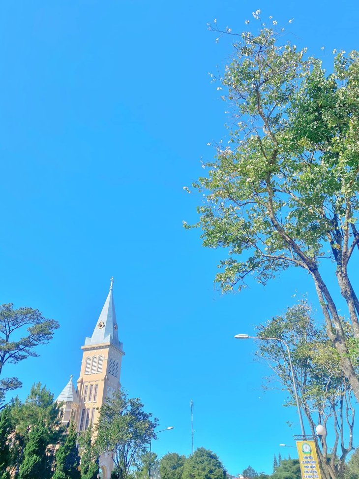 125197576 3393171997462365 2721257681461923986 N