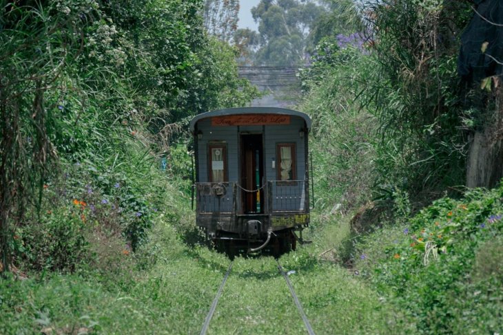 158829632 3585006671628592 7166691172340168499 N