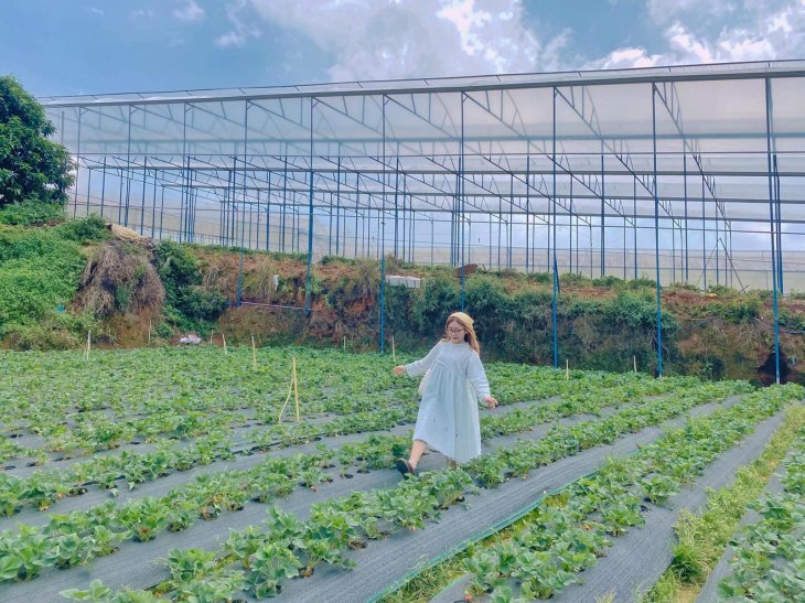 172212061 3789910017788559 5855572095251638214 N