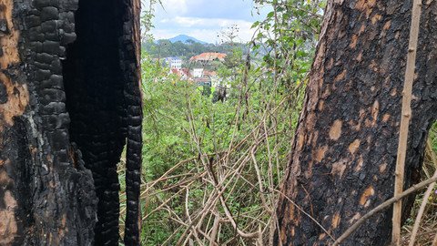 20210421 102702 Krfx