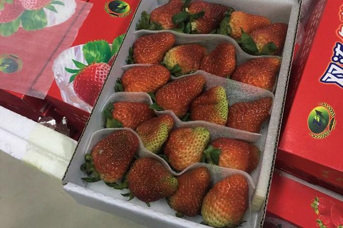 687cc0f8e7ba0ee457ab