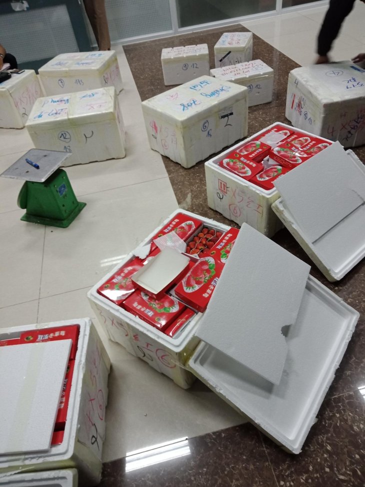 Z2455652818052 46160c16a34ed944ec8cb4d01ec6cc7e Lp