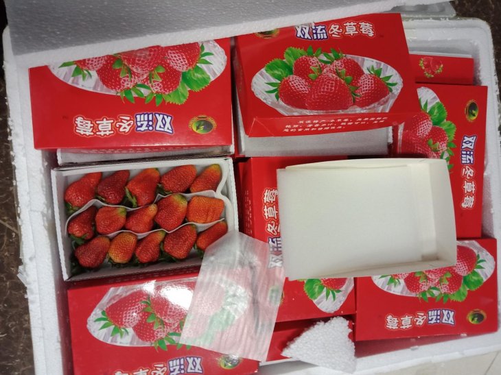 Z2455653005453 F2cccfadf019b8cb2dedae0445516427 Oq