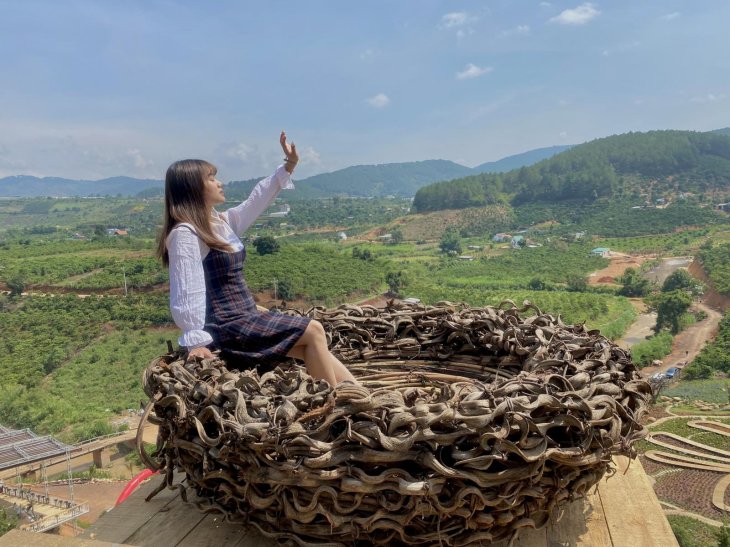 Z2459544412436 8a686d0373f17c645f4af008cc678638