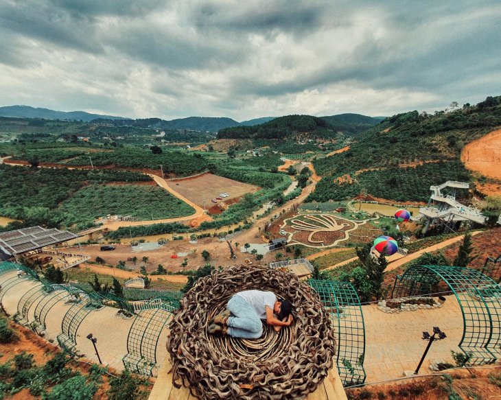 179143264 3820464011396134 3189005141910626368 N