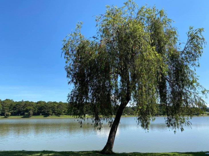 Photo 2021 04 25 12 11 06