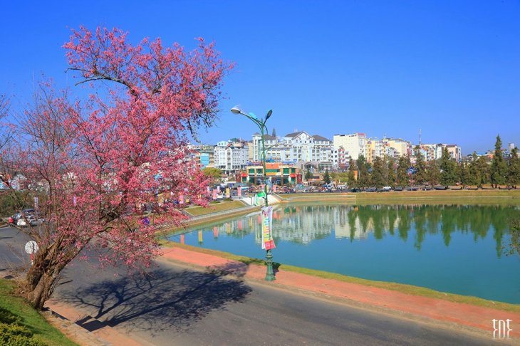 181847923 2259772620821879 2818429821632992678 N