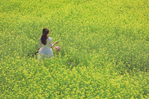 Dia Diem Check In Da Lat