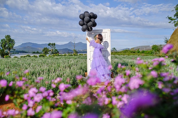 Lavender Tui Thuong Nho