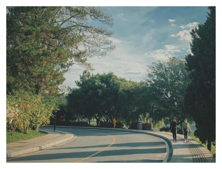 183698428 4220052994679706 3093982609478590553 N