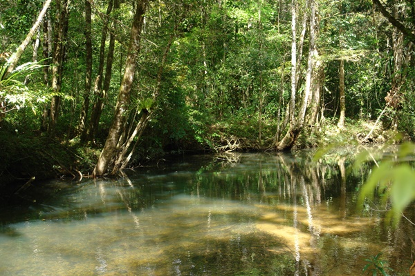 Vuon Quoc Gia Bidoup Da Lat