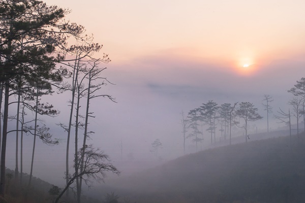 Vuon Quoc Gia Da Lat Bidoup