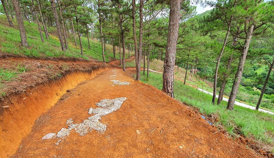 20210514 161146 Ldhd