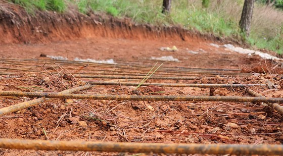 20210514 161254 Qejd