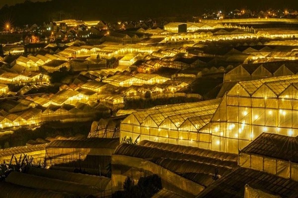 Những nhà lồng thắp đèn tạo nên