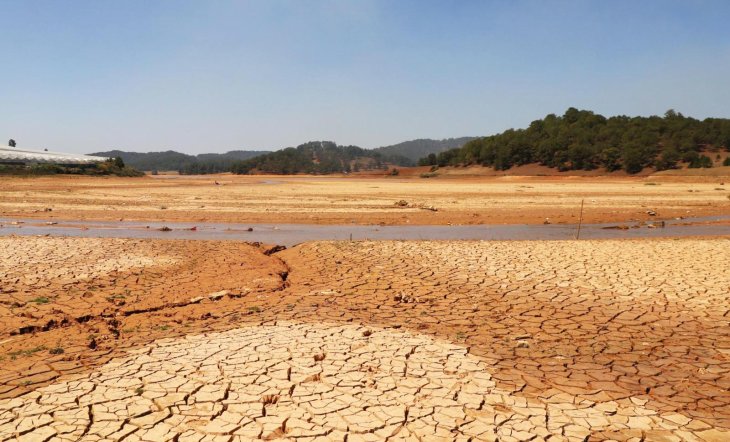 Taynguyen Kimanh 4 4151