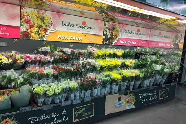 Gian Hang Dalat Hasfarm