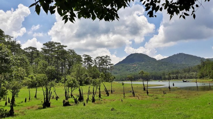 60921874 2063071640663590 8287415216136781824 N