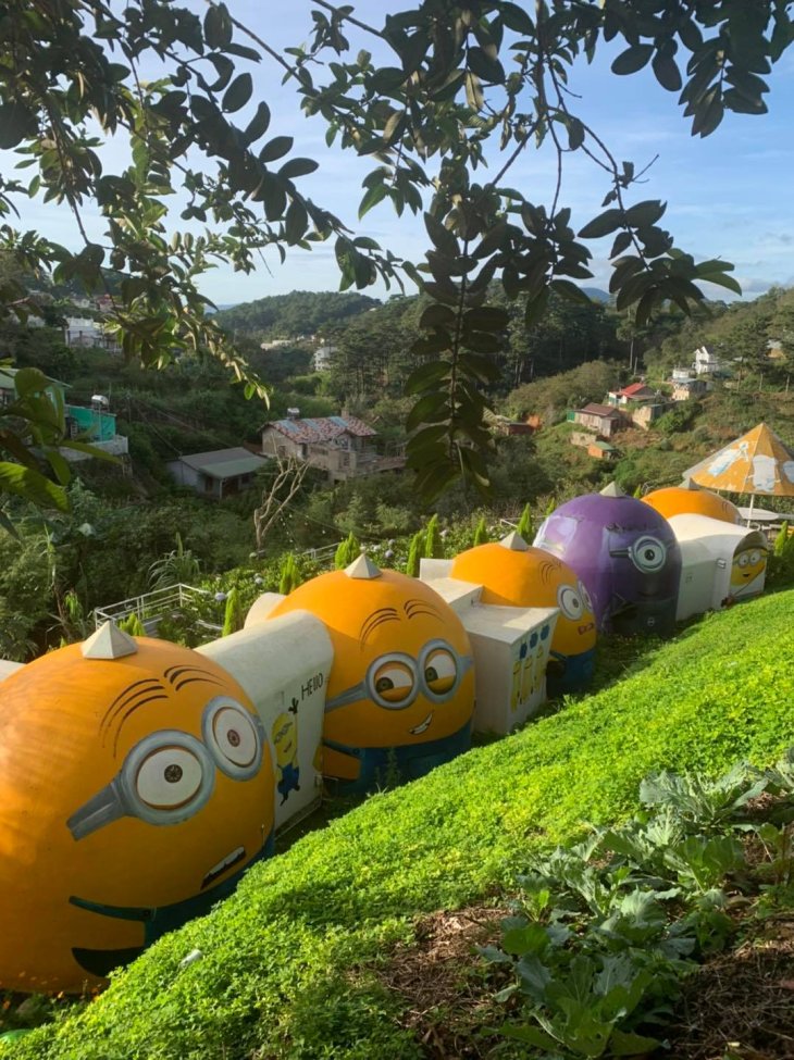 123135476 3320571994719326 7908185547405018028 N