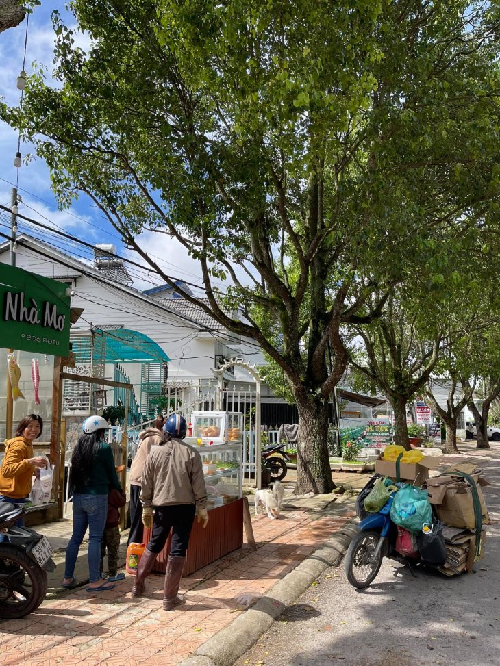 199630534 4800767823273602 5416246732900416965 N