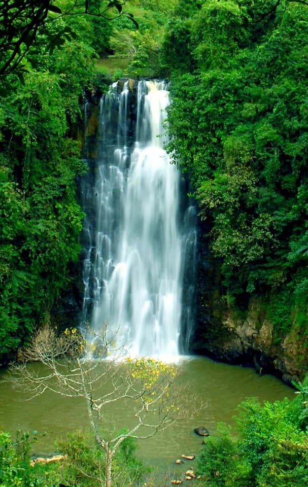 120824979 1570273663144253 3499650052551094576 N