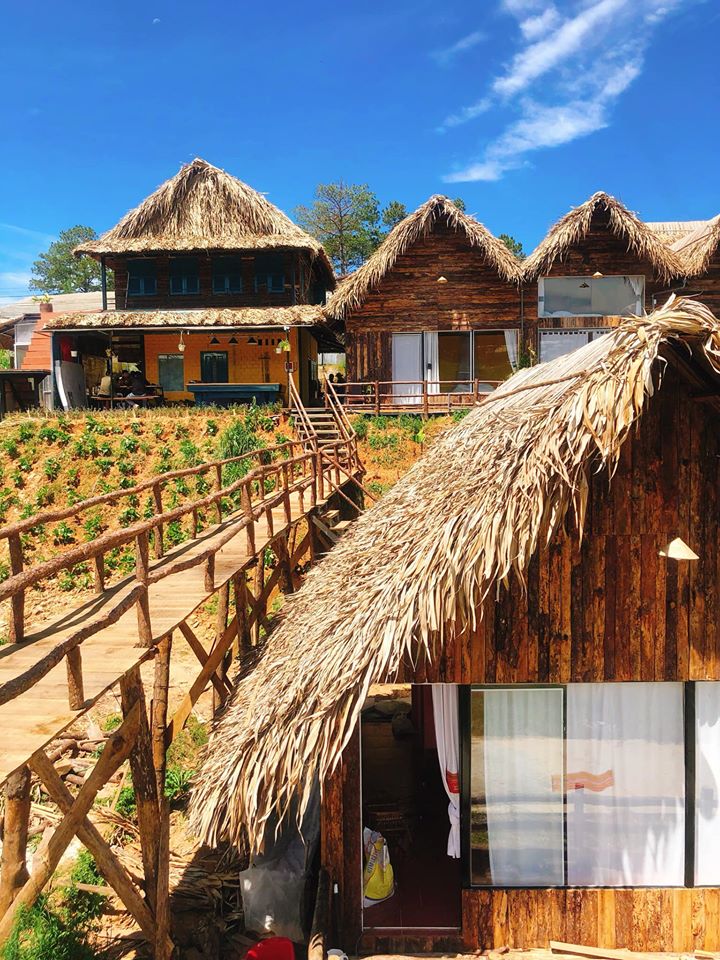 75418226 4018049641554540 1316880455202504704 N