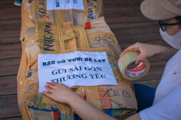 205428508 5725247554184206 4925075151626825017 N