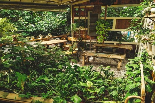 Không gian ở An tràn ngập màu xanh