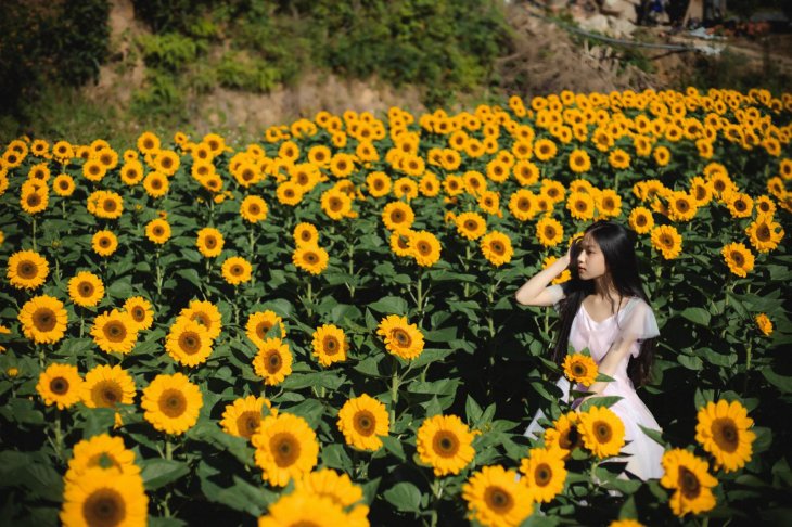 208610526 513803729764074 5772898275444672554 N