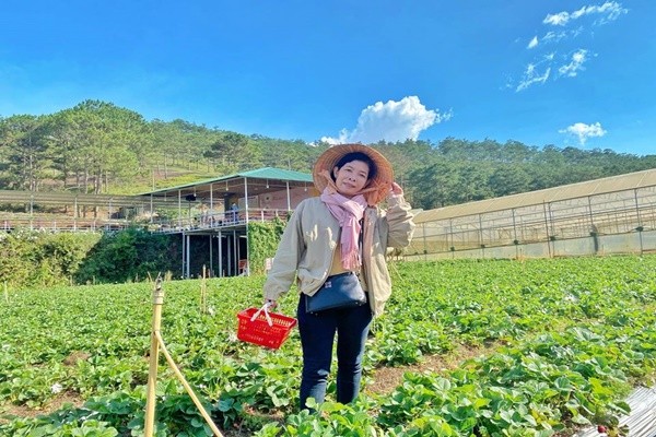 Đà Lạt có nhiều địa điểm tham quan, hái dâu tại vườn