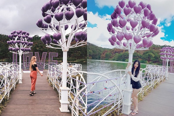 Cay Cau Tinh Yeu Da Lat