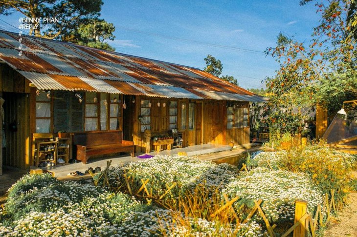 45020424 2967168823309299 5870388023459315712 N