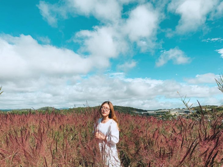 78195799 2503871303059110 3844644493319995392 N