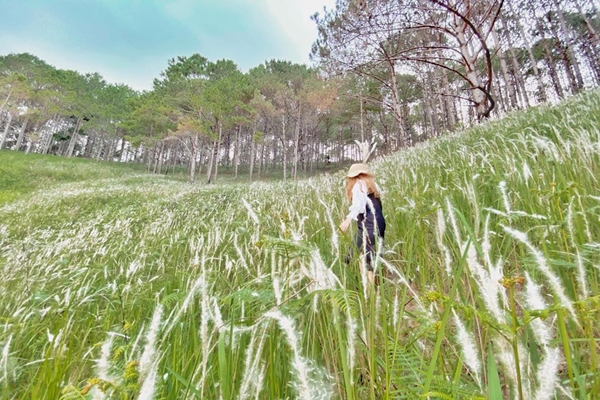 95367670 2847988515314052 593513395966181376 O