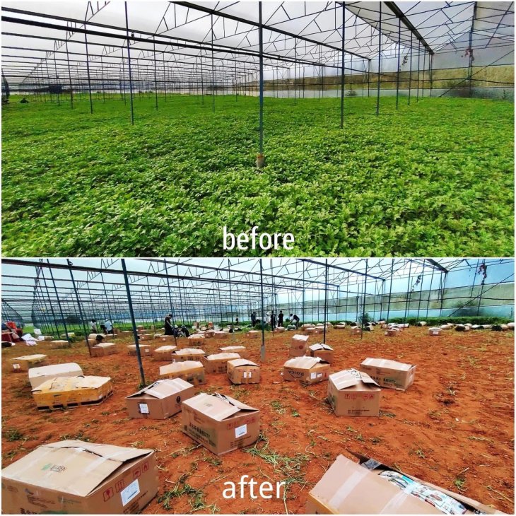 215914804 1548633185477107 1344726527142274848 N