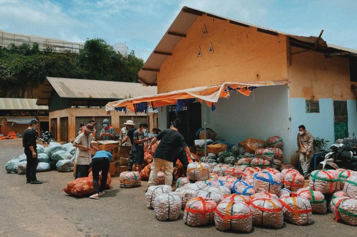 217652302 4705736376120898 5338389439452492173 N