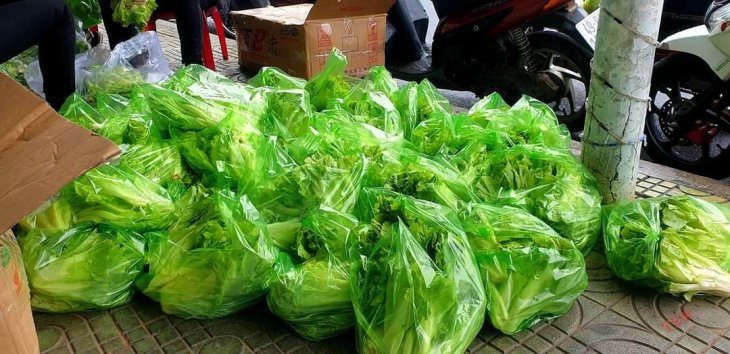 222560122 2555668711245373 694952608419928369 N