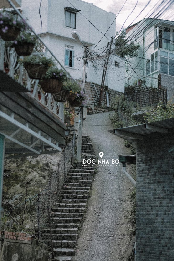 117025815 738773740292006 5734088684674173996 N