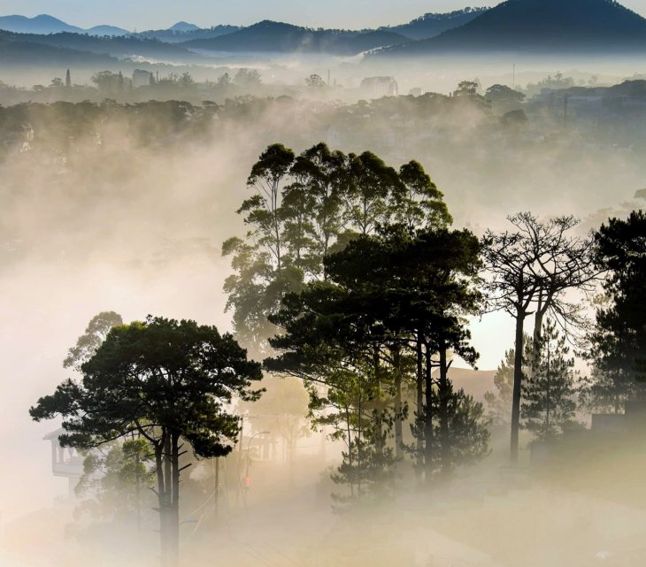 170551621 793444571576551 1069502738440593540 N