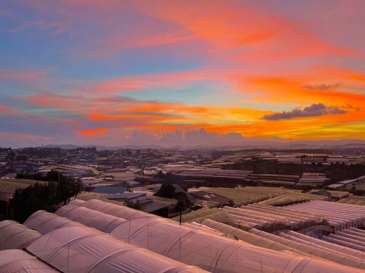 182826296 484989565978824 8986156793356629413 N