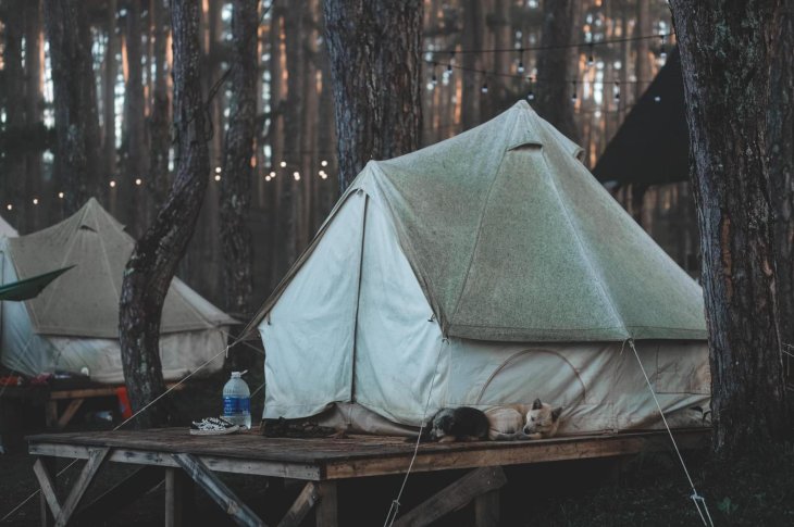 183348431 2600763733561042 6927501056954008826 N